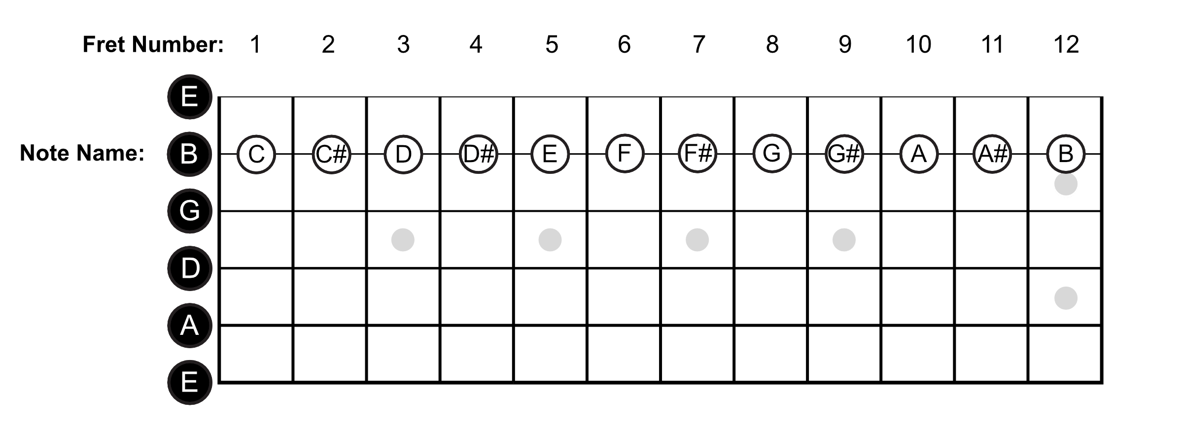 B String Note Names